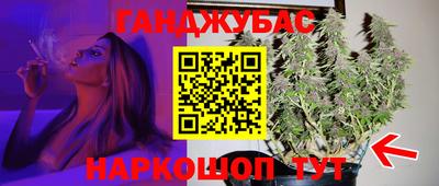 гидра Новодвинск