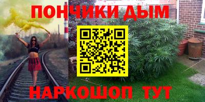 гидра Новодвинск