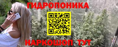 гидра Новодвинск