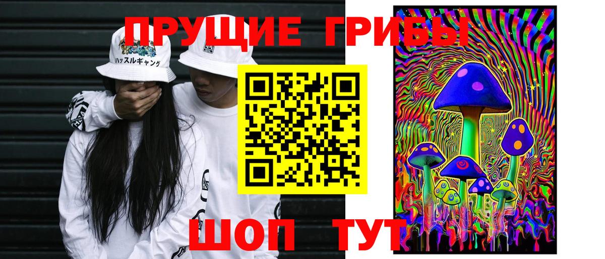 Улан-Удэ  Псилоцибиновые грибы Psilocybe  Вход с VPN  Псилоцибиновые грибы прущие грибы 